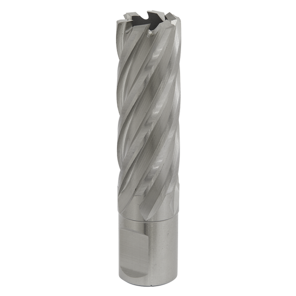 Sealey RBHSS20L 20mm Rotabor Cutter HSS - Cut Depth 50mm