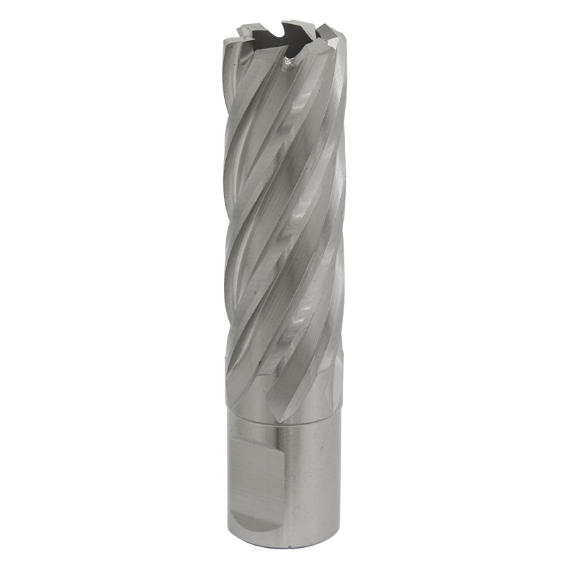 Sealey RBHSS20L 20mm Rotabor Cutter HSS - Cut Depth 50mm