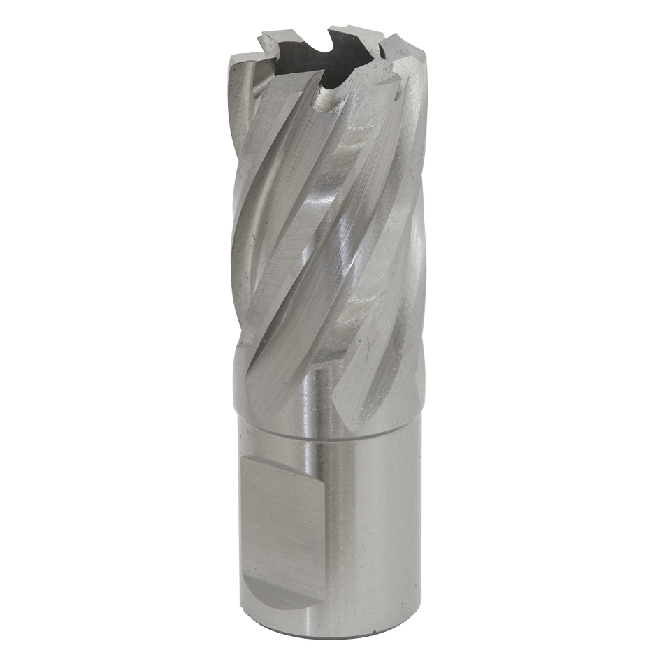 Sealey RBHSS20S 20mm Rotabor Cutter HSS - Cut Depth 25mm