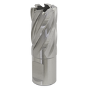 Sealey RBHSS20S 20mm Rotabor Cutter HSS - Cut Depth 25mm