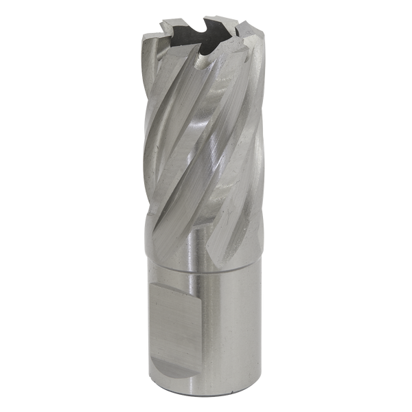 Sealey RBHSS20S 20mm Rotabor Cutter HSS - Cut Depth 25mm