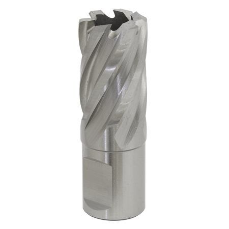 Sealey RBHSS21S 21mm Rotabor Cutter HSS - Cut Depth 25mm