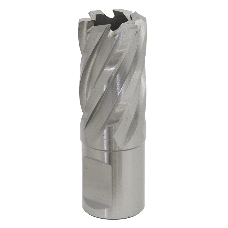 Sealey RBHSS21S 21mm Rotabor Cutter HSS - Cut Depth 25mm
