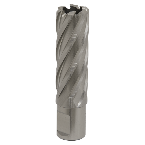 Sealey RBHSS22L 22mm Rotabor Cutter HSS - Cut Depth 50mm