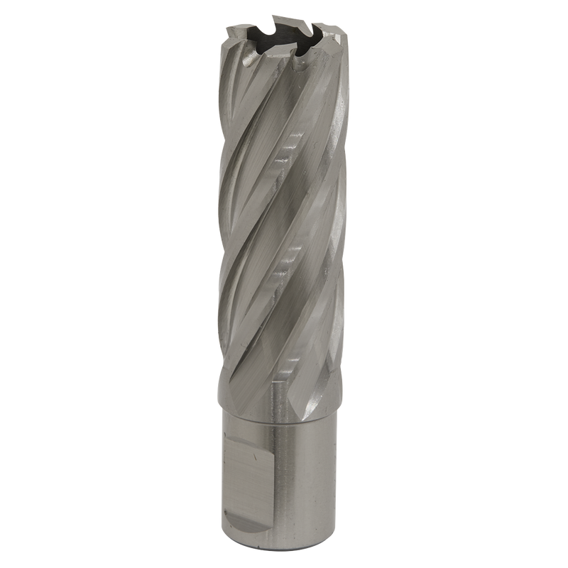 Sealey RBHSS22L 22mm Rotabor Cutter HSS - Cut Depth 50mm