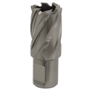 Sealey RBHSS22S 22mm Rotabor Cutter HSS - Cut Depth 25mm