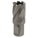 Sealey RBHSS23S 23mm HSS Rotabor Cutter - Cut Depth 25mm