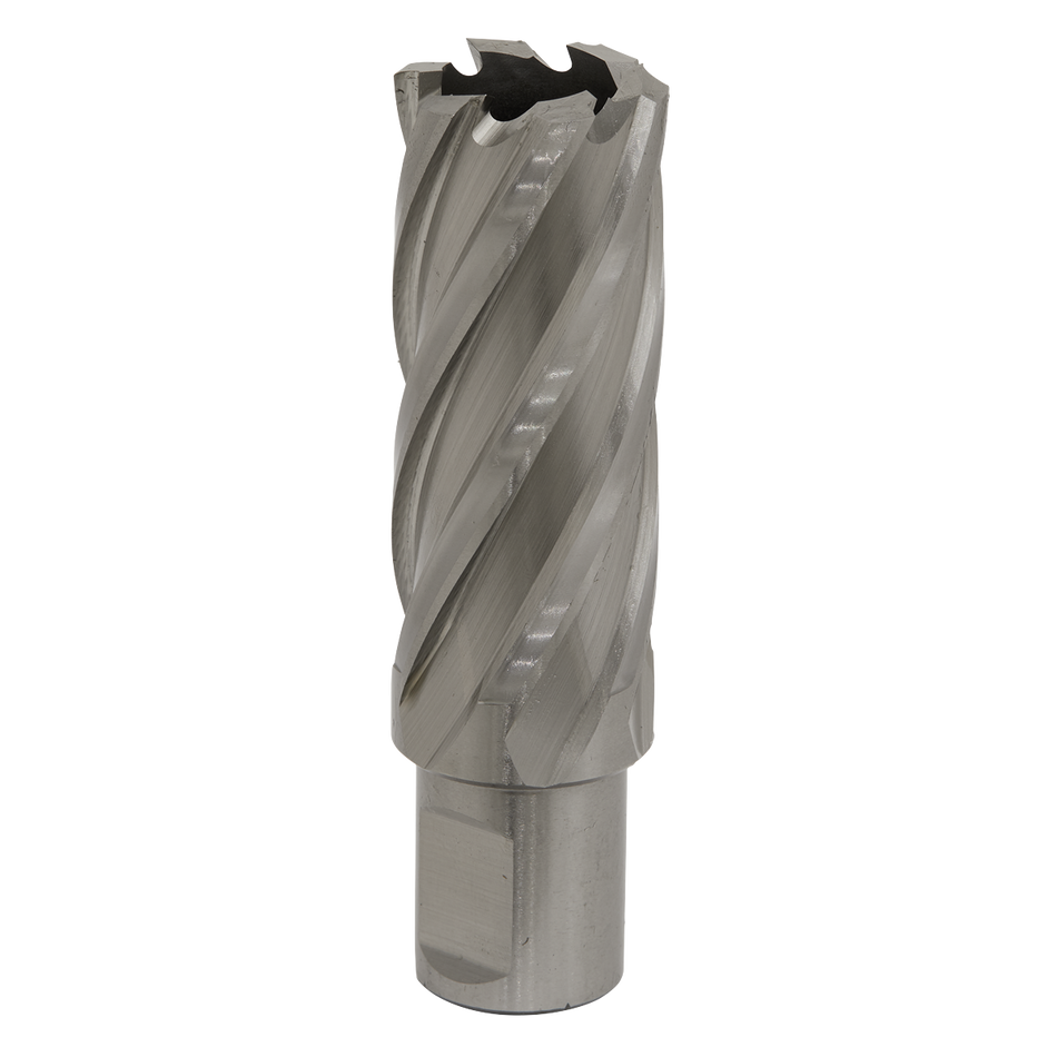 Sealey RBHSS24L 24mm HSS Rotabor Cutter - Cut Depth 50mm