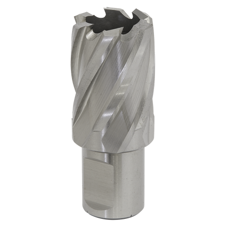 Sealey RBHSS24S 24mm Rotabor Cutter HSS - Cut Depth 25mm