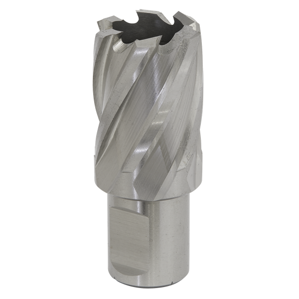 Sealey RBHSS24S 24mm Rotabor Cutter HSS - Cut Depth 25mm