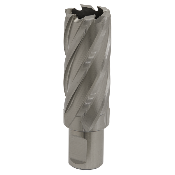 Sealey RBHSS25L 25mm HSS Rotabor Cutter - Cut Depth 50mm