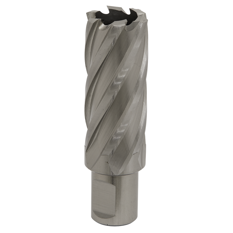 Sealey RBHSS25L 25mm HSS Rotabor Cutter - Cut Depth 50mm