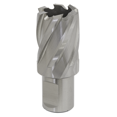 Sealey RBHSS25S 25mm Rotabor Cutter HSS - Cut Depth 25mm