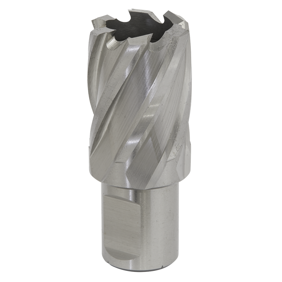Sealey RBHSS25S 25mm Rotabor Cutter HSS - Cut Depth 25mm