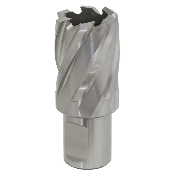 Sealey RBHSS25S 25mm Rotabor Cutter HSS - Cut Depth 25mm