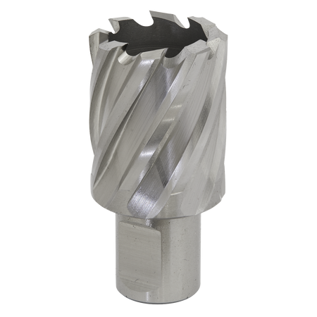 Sealey RBHSS29S 29mm Rotabor Cutter HSS - Cut Depth 25mm