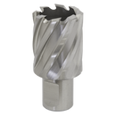 Sealey RBHSS29S 29mm Rotabor Cutter HSS - Cut Depth 25mm