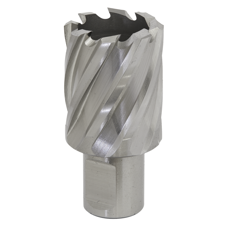 Sealey RBHSS29S 29mm Rotabor Cutter HSS - Cut Depth 25mm