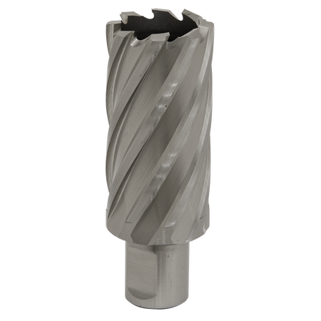 Sealey RBHSS31L 31mm HSS Rotabor Cutter - Cut Depth 50mm