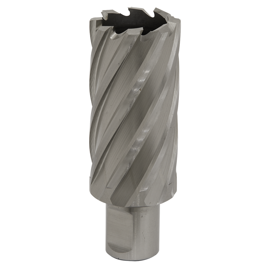 Sealey RBHSS31L 31mm HSS Rotabor Cutter - Cut Depth 50mm
