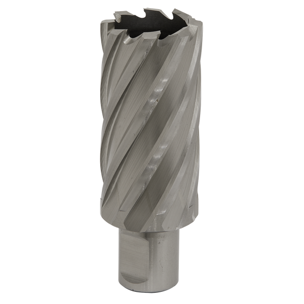 Sealey RBHSS31L 31mm HSS Rotabor Cutter - Cut Depth 50mm
