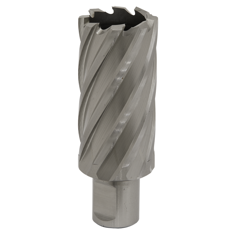 Sealey RBHSS31L 31mm HSS Rotabor Cutter - Cut Depth 50mm