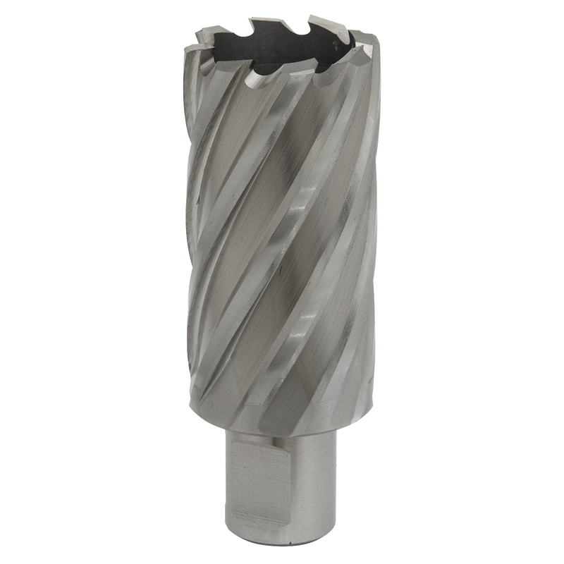 Sealey RBHSS32L 32mm Rotabor Cutter HSS - Cut Depth 50mm