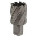 Sealey RBHSS32S 32mm HSS Rotabor Cutter - Cut Depth 25mm