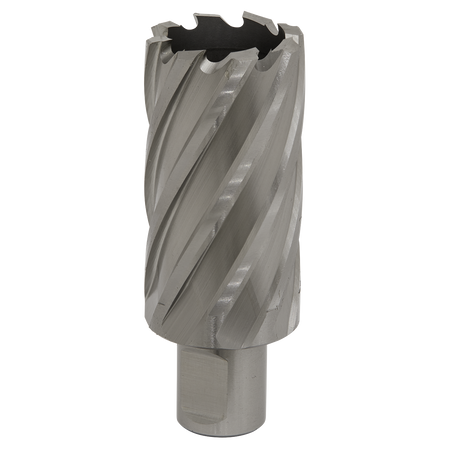 Sealey RBHSS33L 33mm HSS Rotabor Cutter - Cut Depth 50mm
