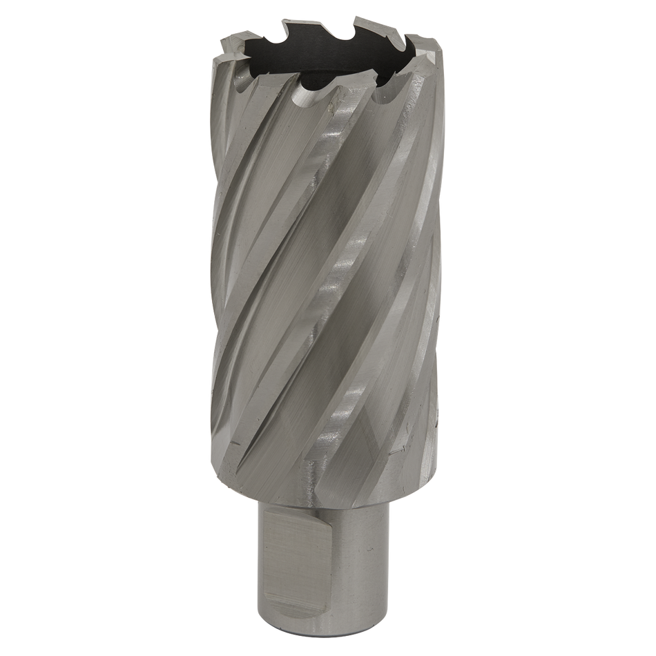 Sealey RBHSS33L 33mm HSS Rotabor Cutter - Cut Depth 50mm
