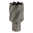 Sealey RBHSS33S 33mm Rotabor Cutter HSS - Cut Depth 25mm