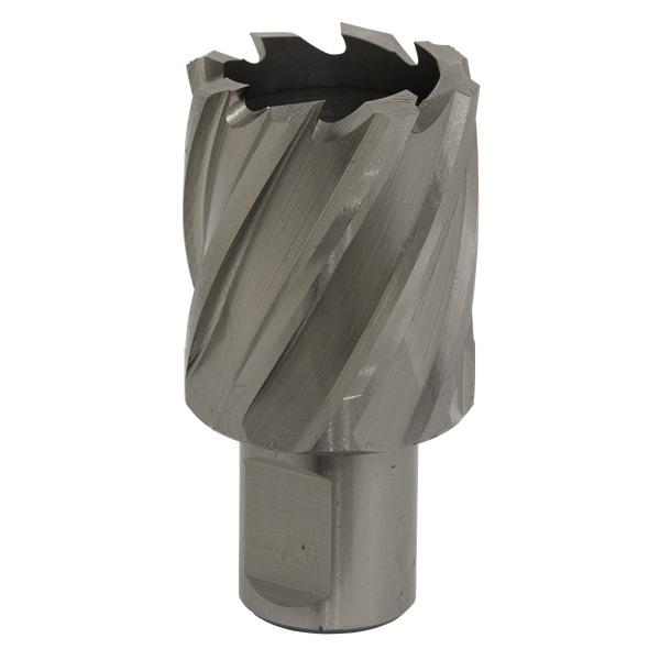 Sealey RBHSS33S 33mm Rotabor Cutter HSS - Cut Depth 25mm