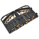 Sealey S0916 16pc T-Handle TRX-Star* & Hex Key Set