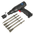 Sealey SA614 Long Stroke Composite Air Hammer Kit