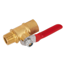 Sealey SA906 1/4"BSP Lever Ball Valve