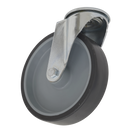 Sealey SCW250SBEM 50mm Medium-Duty Thermoplastic Bolt Hole Swivel Castor Wheel - Trade