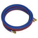 Sealey SGA5 5m Twin Rubber Oxyacetylene Hose Set