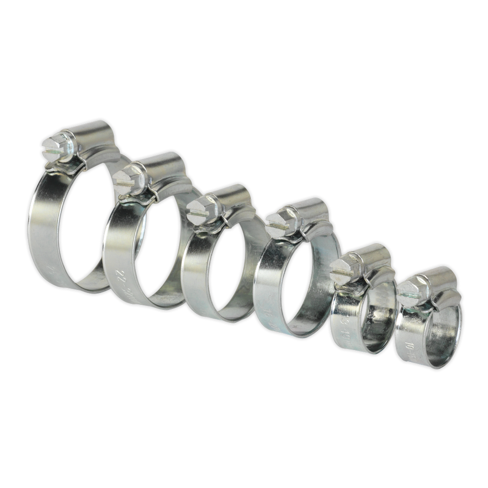 Sealey SHCS1 30pc Zinc Plated Hose Clip Assortment 8-29mm