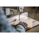 Sealey SM1304 245mm Throat Professional Bandsaw