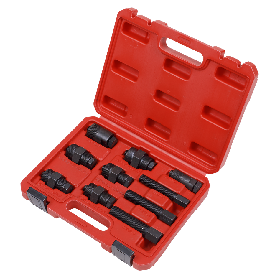Sealey SMC48 10pc Motorcycle Flywheel Puller Set