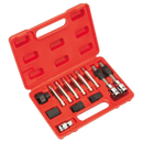 Sealey SX401 13pc Alternator Freewheel Removal Set