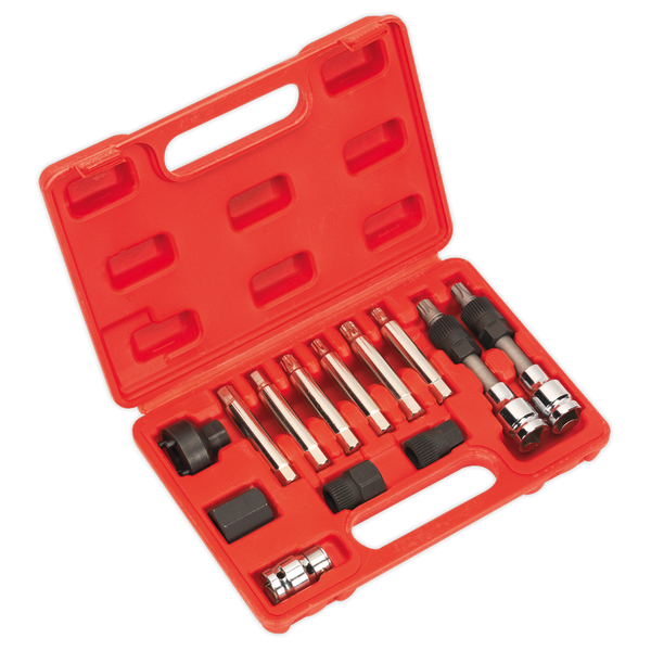 Sealey SX401 13pc Alternator Freewheel Removal Set