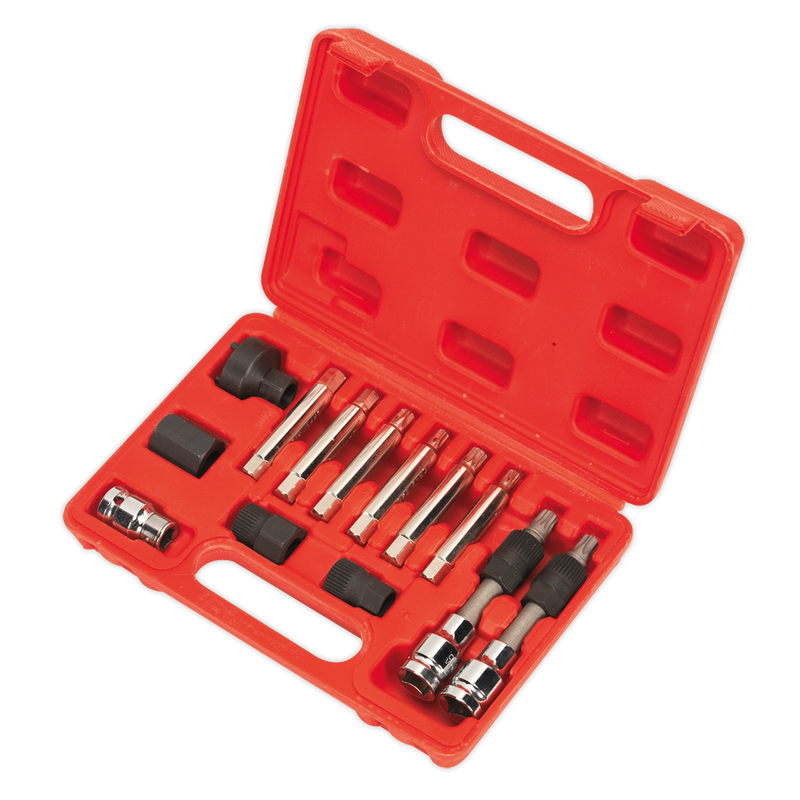 Sealey SX401 13pc Alternator Freewheel Removal Set