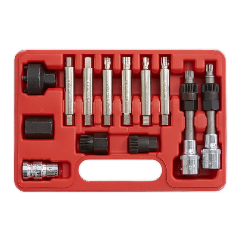 Sealey SX401 13pc Alternator Freewheel Removal Set