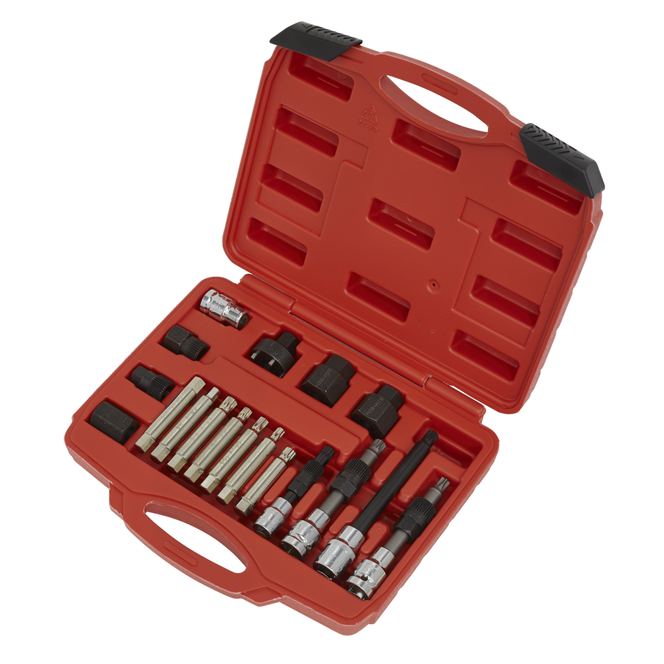 Sealey SX402 18pc Alternator Freewheel Pulley Removal Set