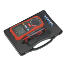 Sealey TA319 Digital Insulation Tester