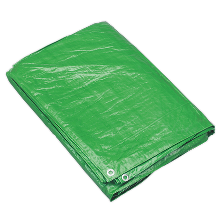 Sealey TARP1824G 5.49 x 7.32m Tarpaulin - Green