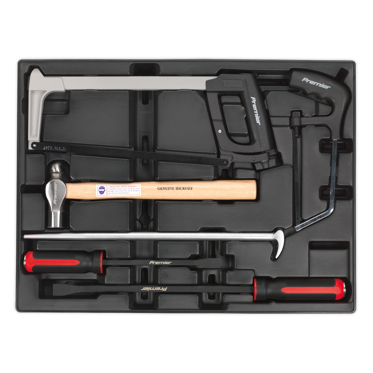Sealey TBT30 6pc Pry Bar, Hammer & Hacksaw Set with Tool Tray