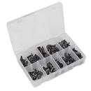 Sealey TCFT100AS Fir Tree Clip Assortment - Pack of 100