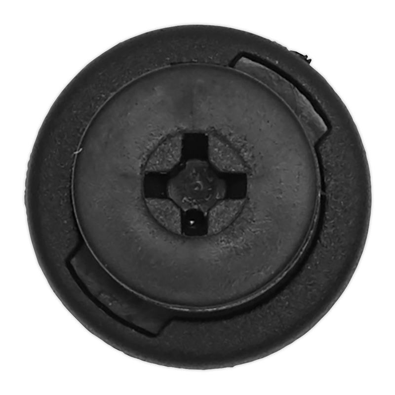 Sealey TCSR2015J Screw Rivet, Diameter 20mm x 25mm, Japanese - Pack of 20